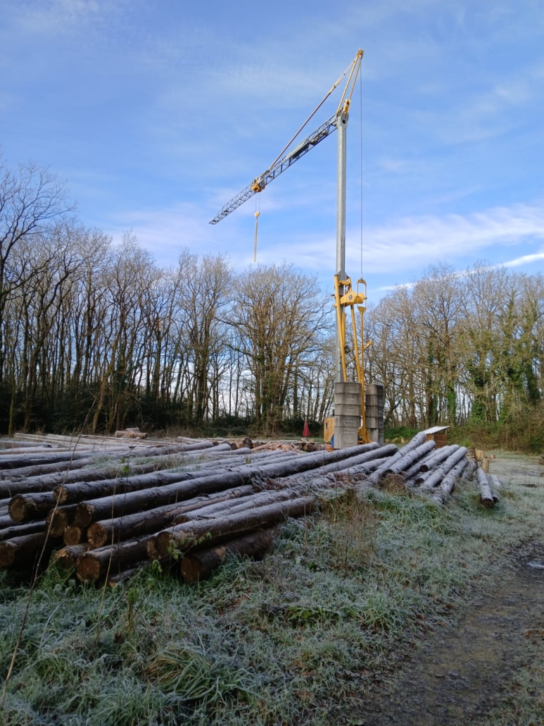 Grue de chantier soulevant des rondins de pin Douglas sur le site TST, près de Nantes, fustier constructeur de maisons en rondins
